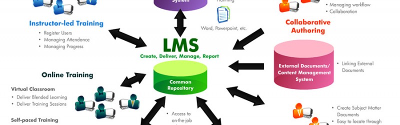 HP Enterprise Learning Infographics